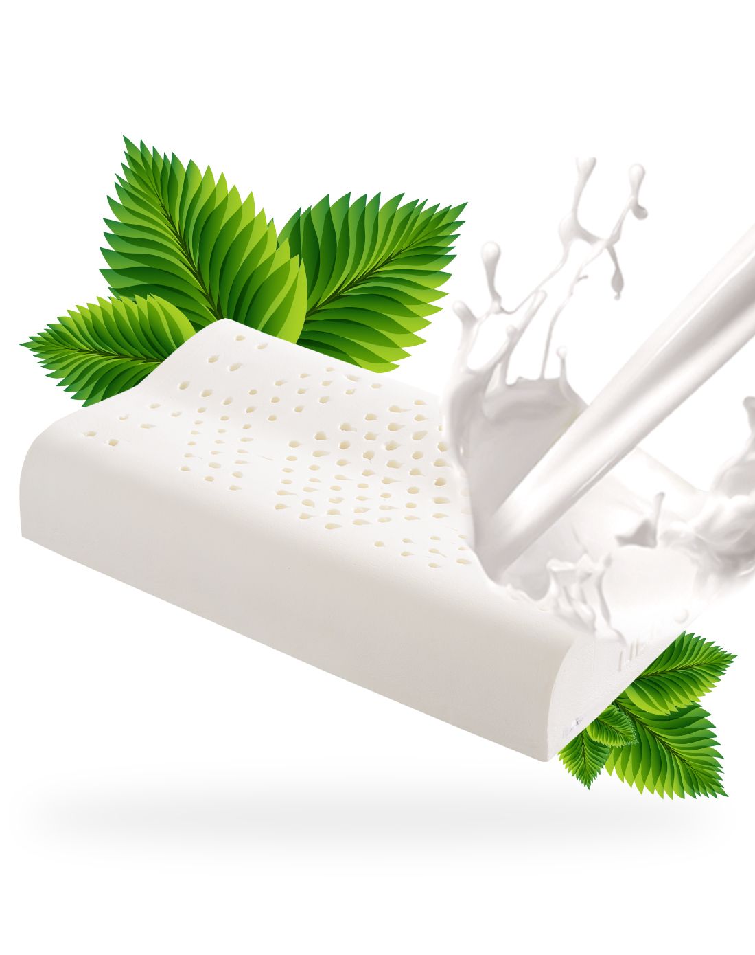 乳胶枕防螨功能与生产工艺处理有关